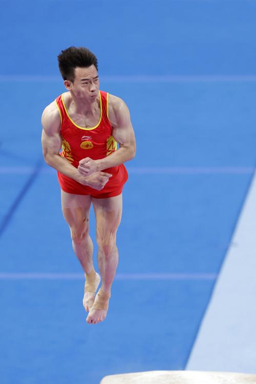 北京奥运会跳马冠军?北京奥运会跳马决赛解说?