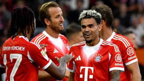 2002年德甲射手榜冠军？20012002德甲？